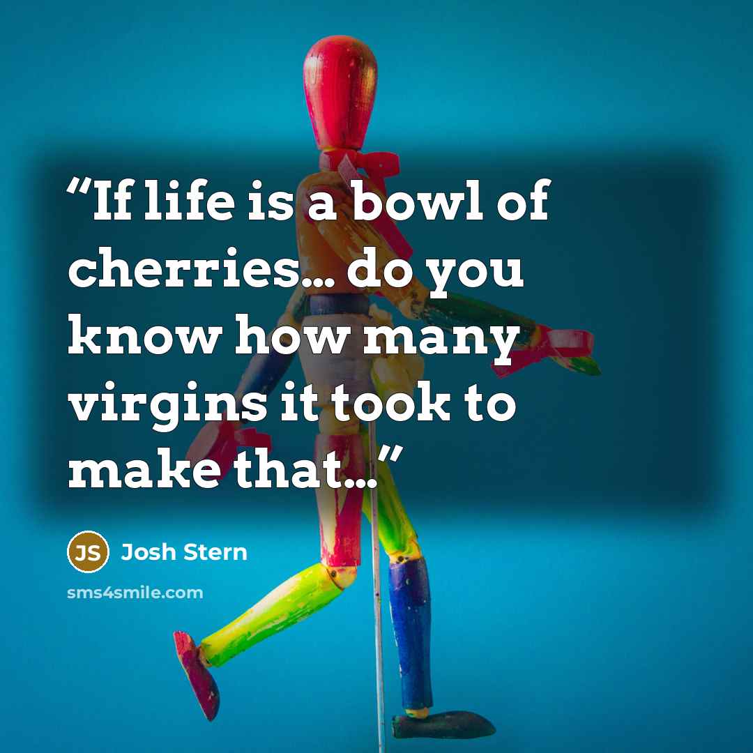“If life is a bowl of cherries… do you know how many virgins it took to make that…” quote by Josh Stern