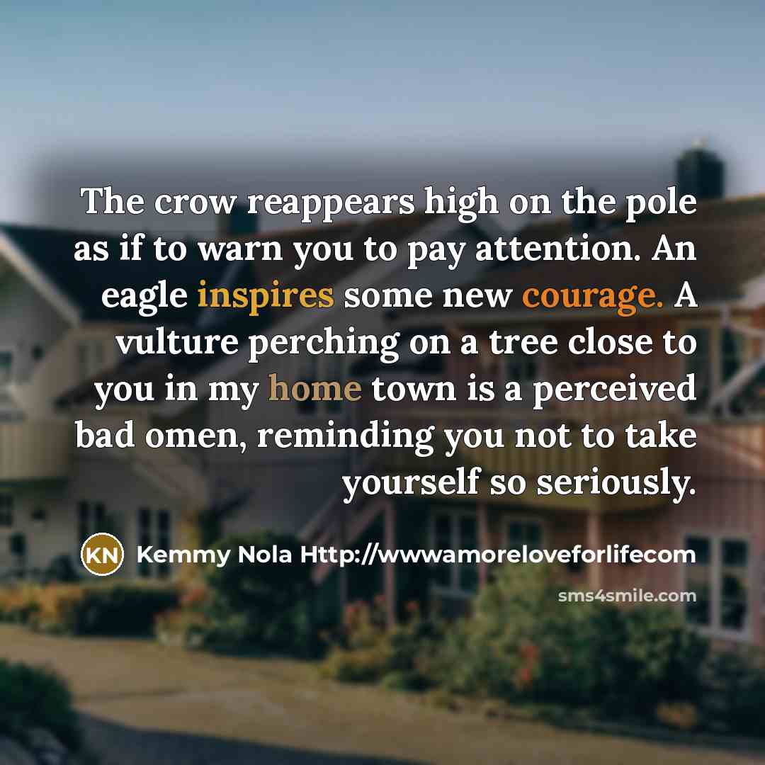 “The crow reappears high on the pole as if to warn you to pay attention. An eagle inspires some new courage. A vulture perching on a tree close to you in my home town is a perceived bad omen, reminding you not to take yourself so seriously.” quote by Kemmy Nola Http://wwwamoreloveforlifecom
