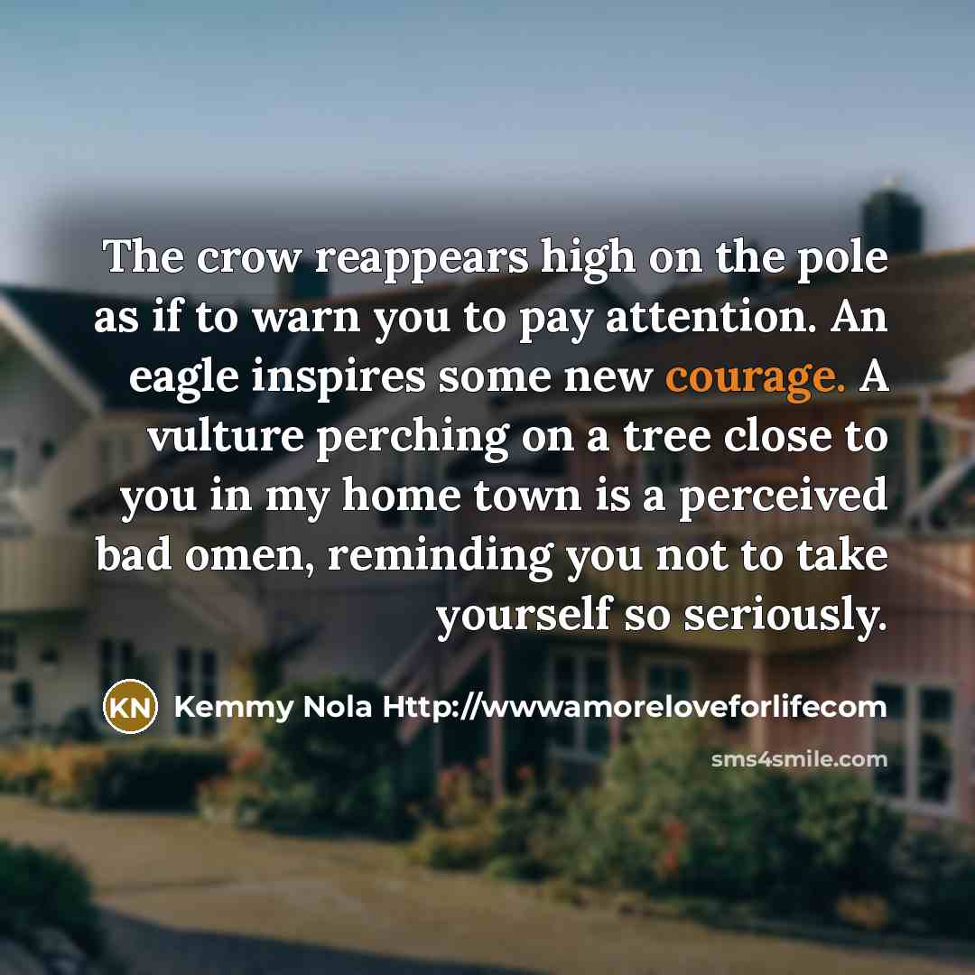“The crow reappears high on the pole as if to…” quote by Kemmy Nola Http://wwwamoreloveforlifecom