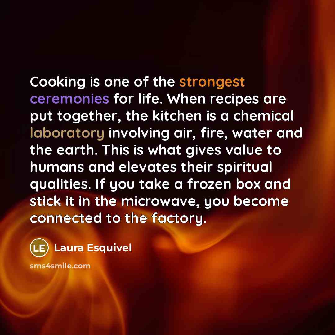 “Cooking is one of the strongest ceremonies for life. When recipes are put together, the kitchen is a chemical laboratory involving air, fire, water and the earth. This is what gives value to humans and elevates their spiritual qualities. If you take a frozen box and stick it in the microwave, you…” quote by Laura Esquivel
