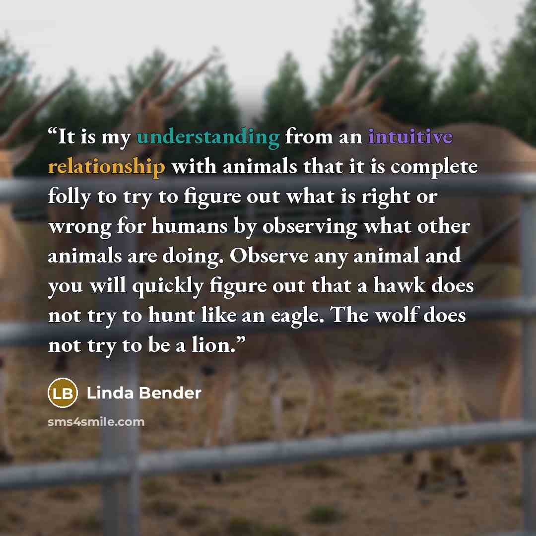 “It is my understanding from an intuitive relationship with animals that it is complete folly to try to figure out what is right or wrong for humans by observing what other animals are doing. Observe any animal and you will quickly figure out that a hawk does not try to hunt like an eagle. The wolf…” quote by Linda Bender