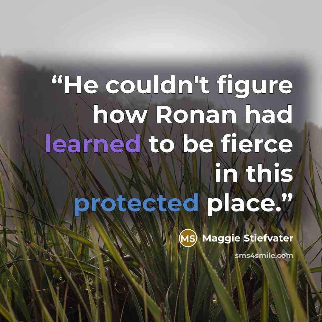“He couldn't figure how Ronan had learned to be fierce in this protected place.” quote by Maggie Stiefvater