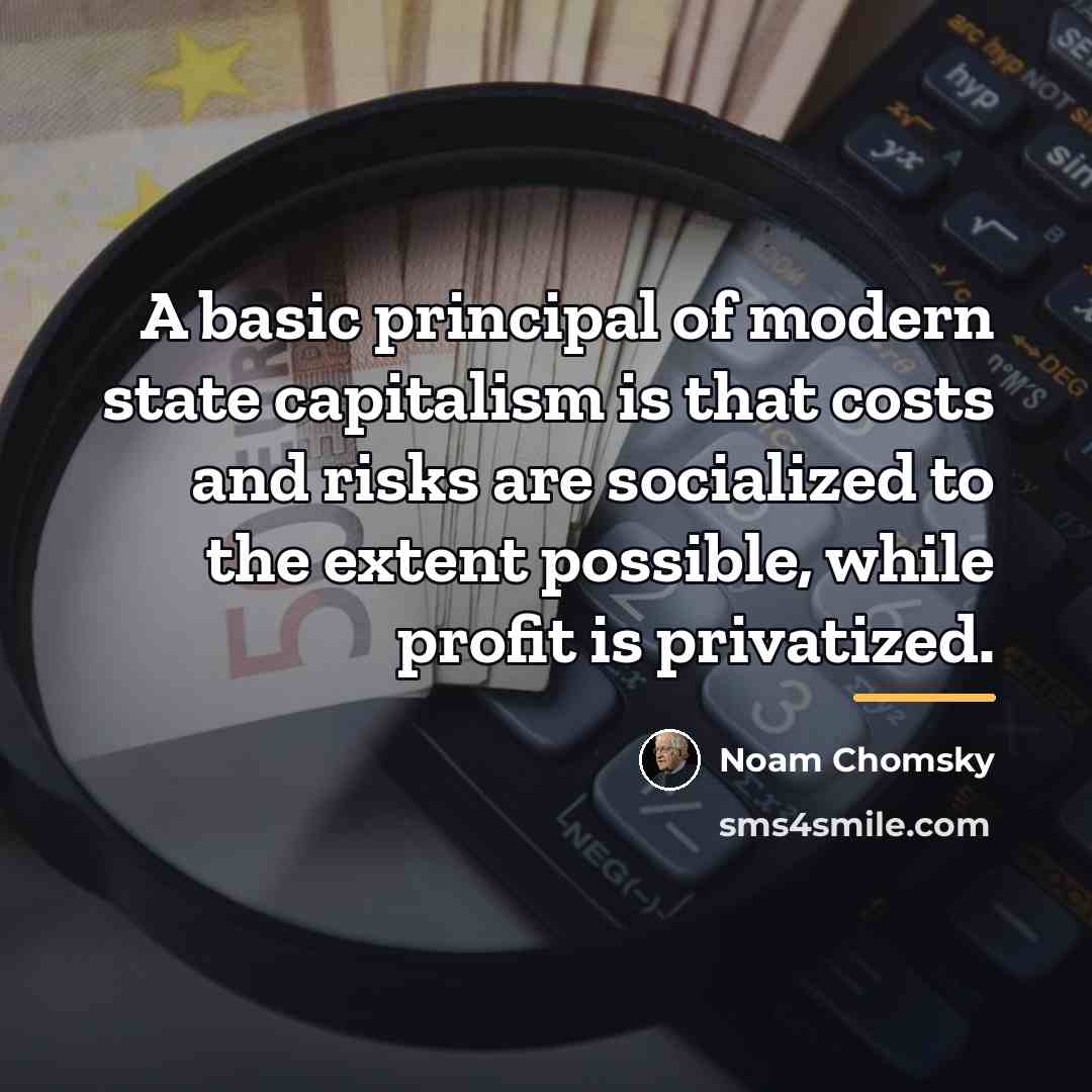 “A basic principal of modern state capitalism is that costs…” quote by Noam Chomsky