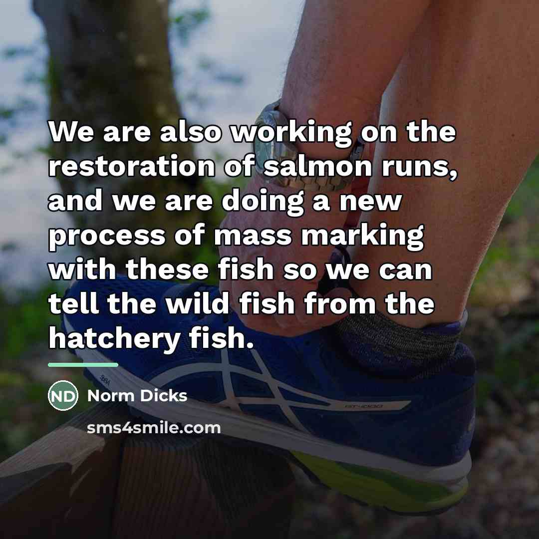 “We are also working on the restoration of salmon runs,…” quote by Norm Dicks
