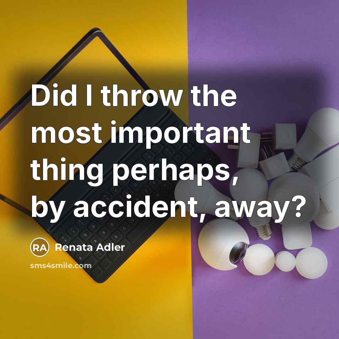 “Did I throw the most important thing perhaps, by accident,…” quote by Renata Adler