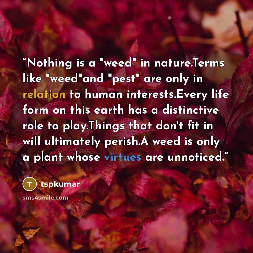 “Nothing is a "weed" in nature.Terms like "weed"and "pest" are only in relation to human interests.Every life form on this earth has a distinctive role to play.Things that don't fit in will ultimately perish.A weed is only a plant whose virtues are unnoticed.” quote by tspkumar