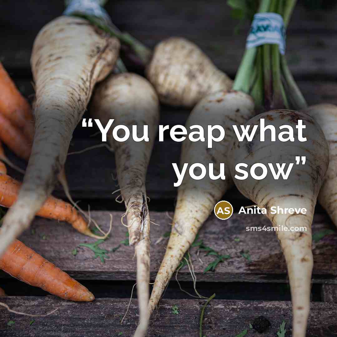 “You reap what you sow” quote by Anita Shreve