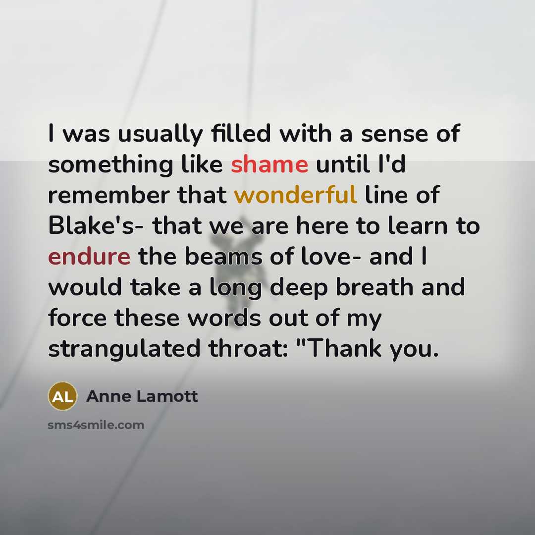 “I was usually filled with a sense of something like…” quote by Anne Lamott