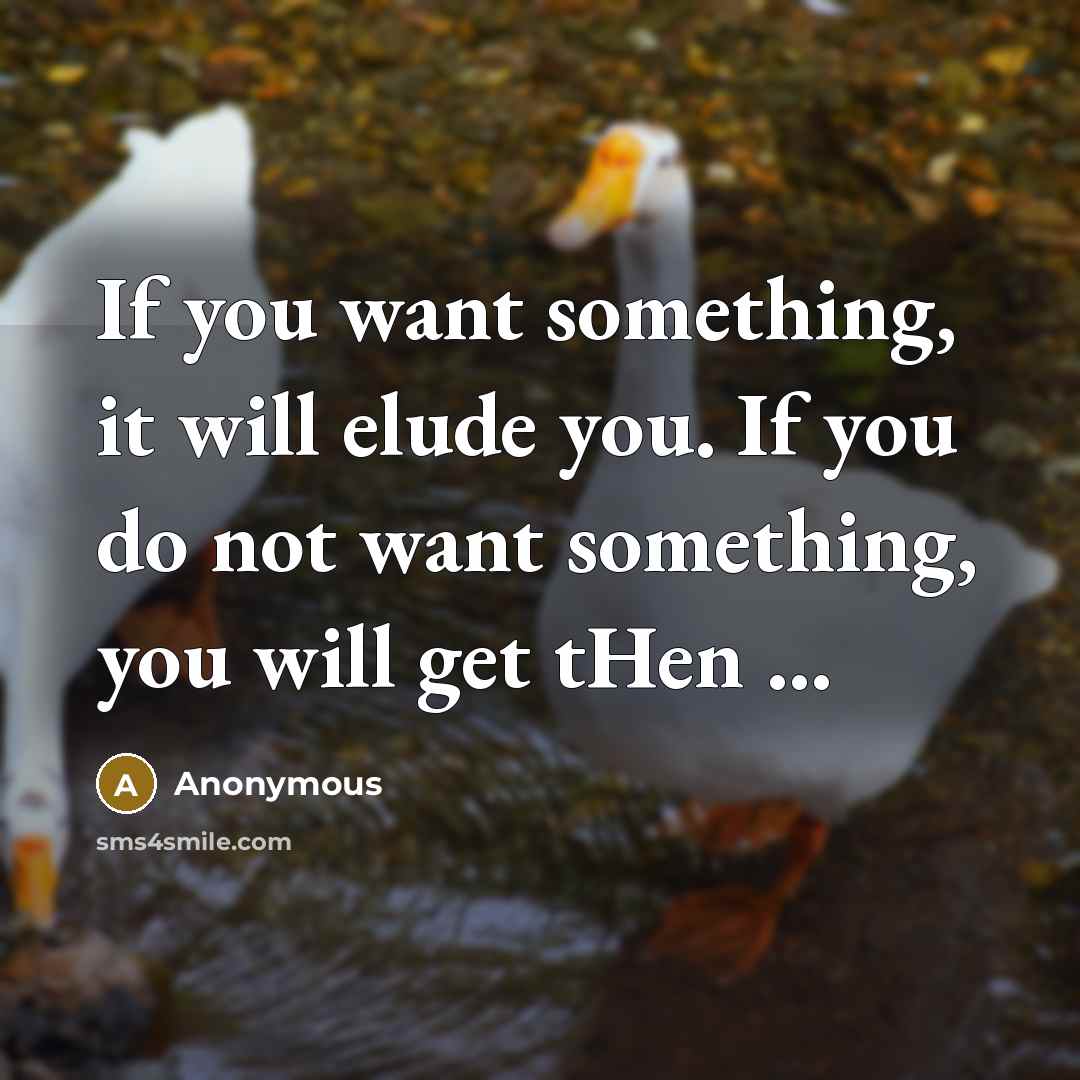 “If you want something, it will elude you. If you…” quote by Anonymous