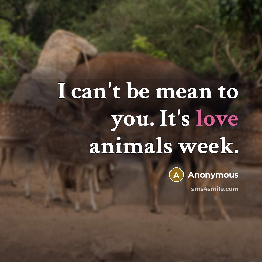 “I can't be mean to you. It's love animals week.…” quote by Anonymous