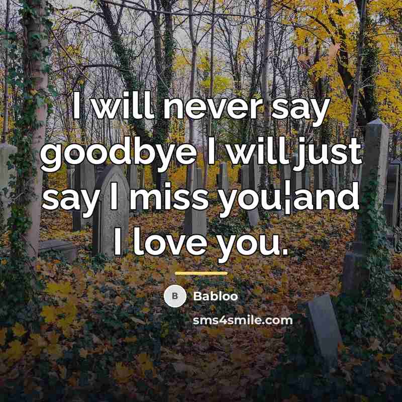 “I will never say goodbye I will just say I…” quote by Babloo
