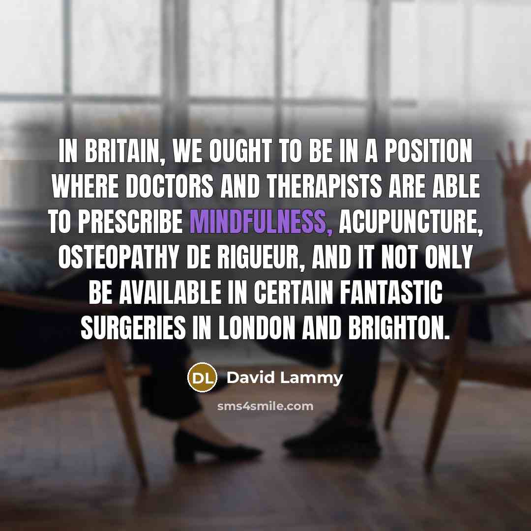 “In Britain, we ought to be in a position where…” quote by David Lammy