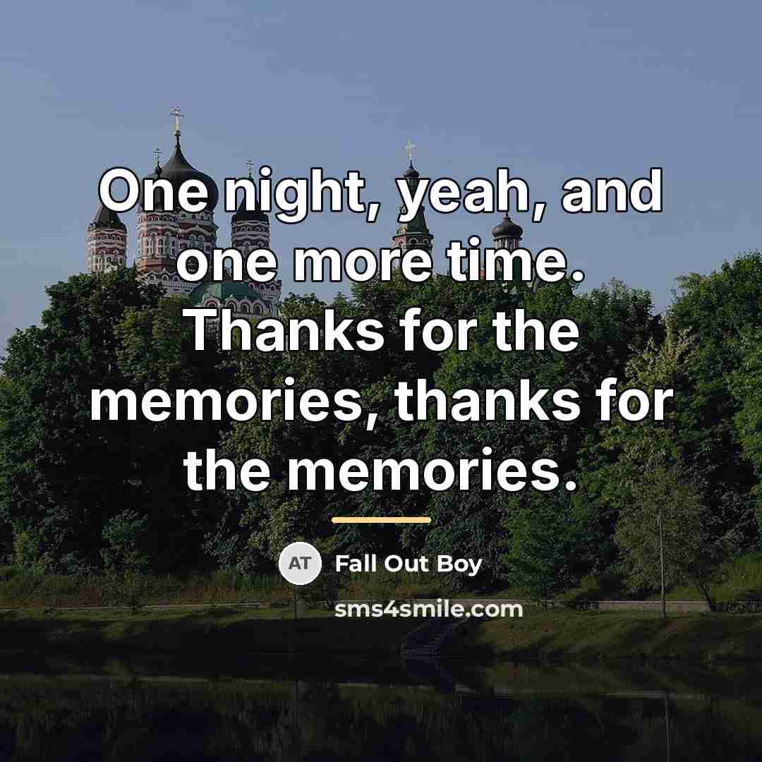 “One night, yeah, and one more time. Thanks for the…” quote by Fall Out Boy