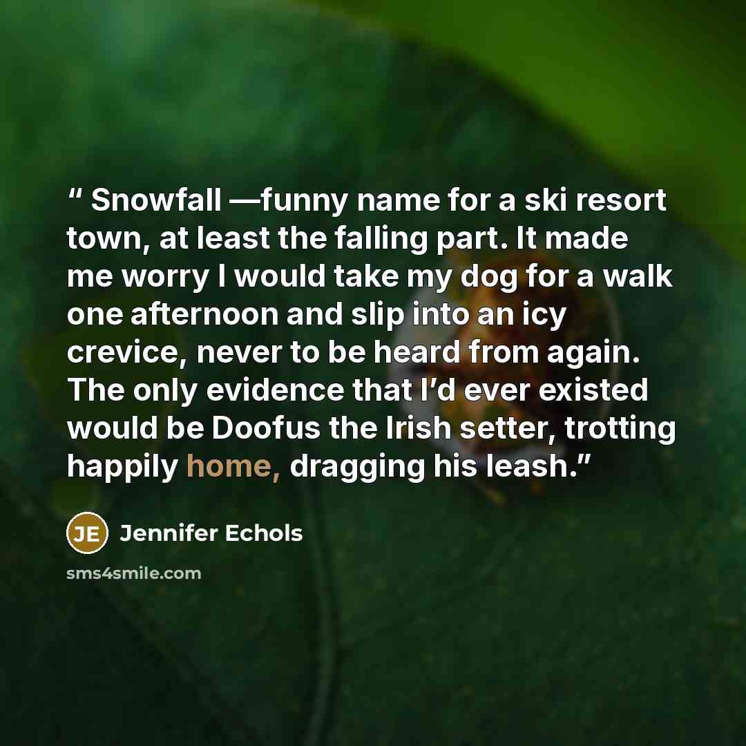 “Snowfall —funny name for a ski resort town, at least the falling part. It made me worry I would take my dog for a walk one afternoon and slip into an icy crevice, never to be heard from again. The only evidence that I’d ever existed would be Doofus the Irish setter, trotting happily home, dragging…” quote by jennifer echols