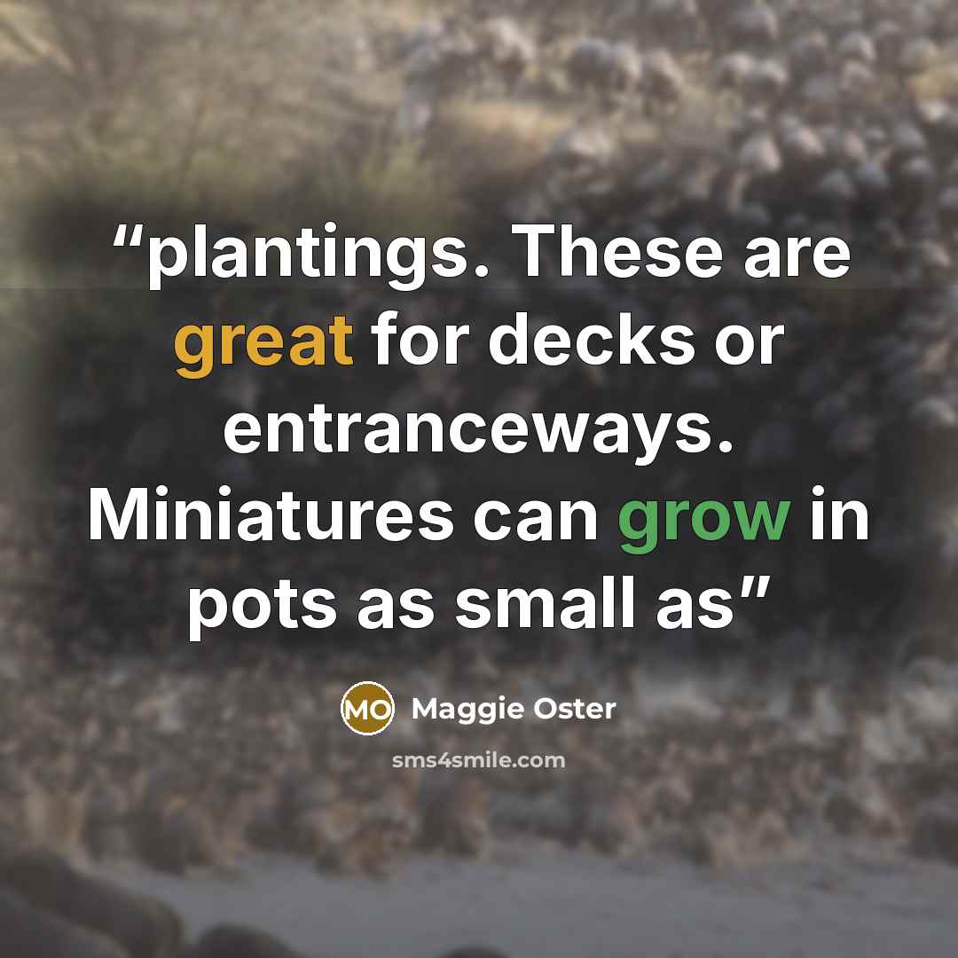 “plantings. These are great for decks or entranceways. Miniatures can grow in pots as small as” quote by Maggie Oster