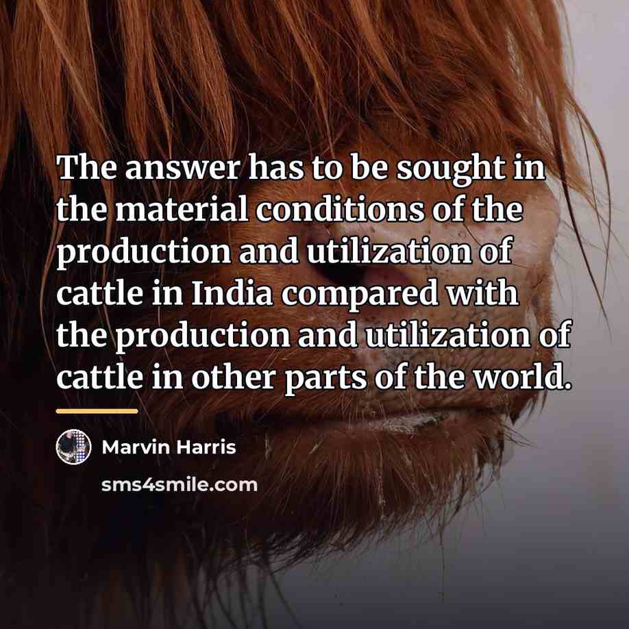 “The answer has to be sought in the material conditions…” quote by Marvin Harris