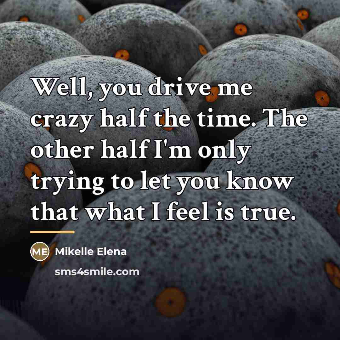“Well, you drive me crazy half the time. The other…” quote by Mikelle Elena