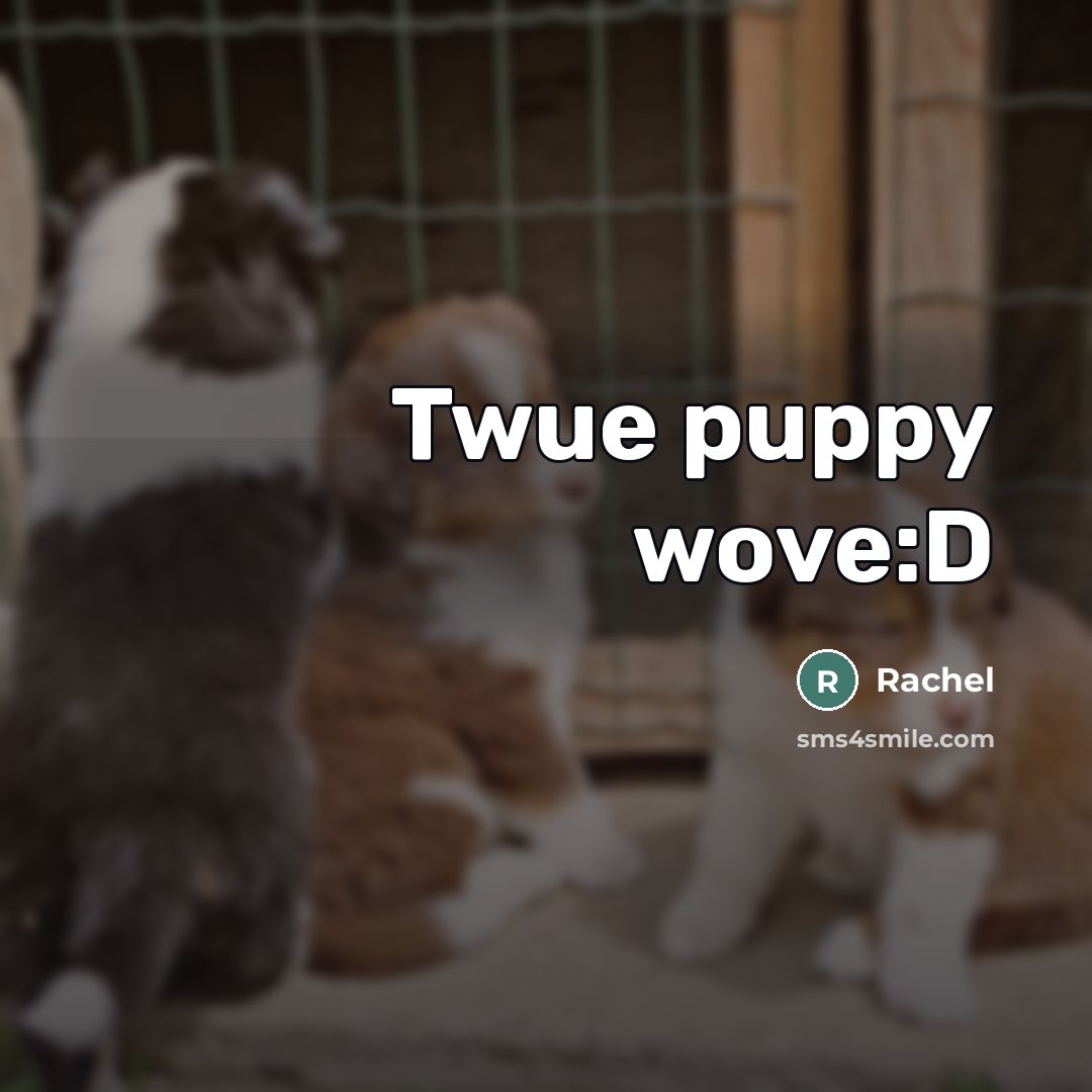 “Twue puppy wove:D…” quote by Rachel