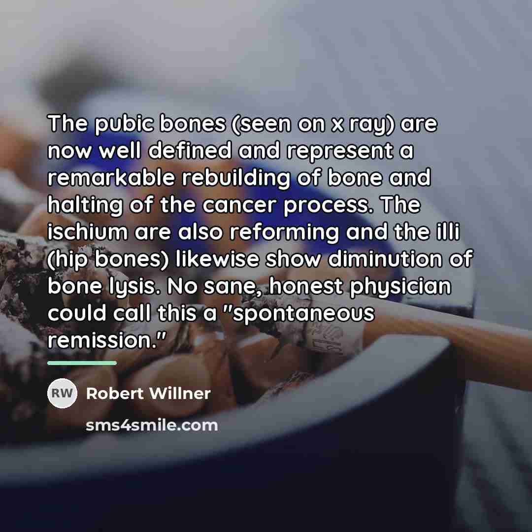 “The pubic bones (seen on x ray) are now well…” quote by Robert Willner