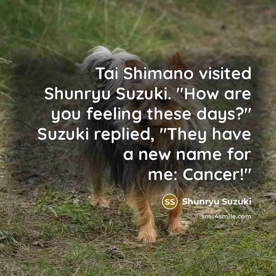 “Tai Shimano visited Shunryu Suzuki. "How are you feeling these…” quote by Shunryu Suzuki