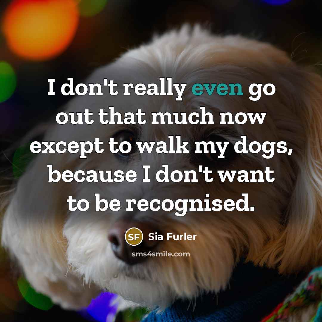 “I don't really even go out that much now except…” quote by Sia Furler