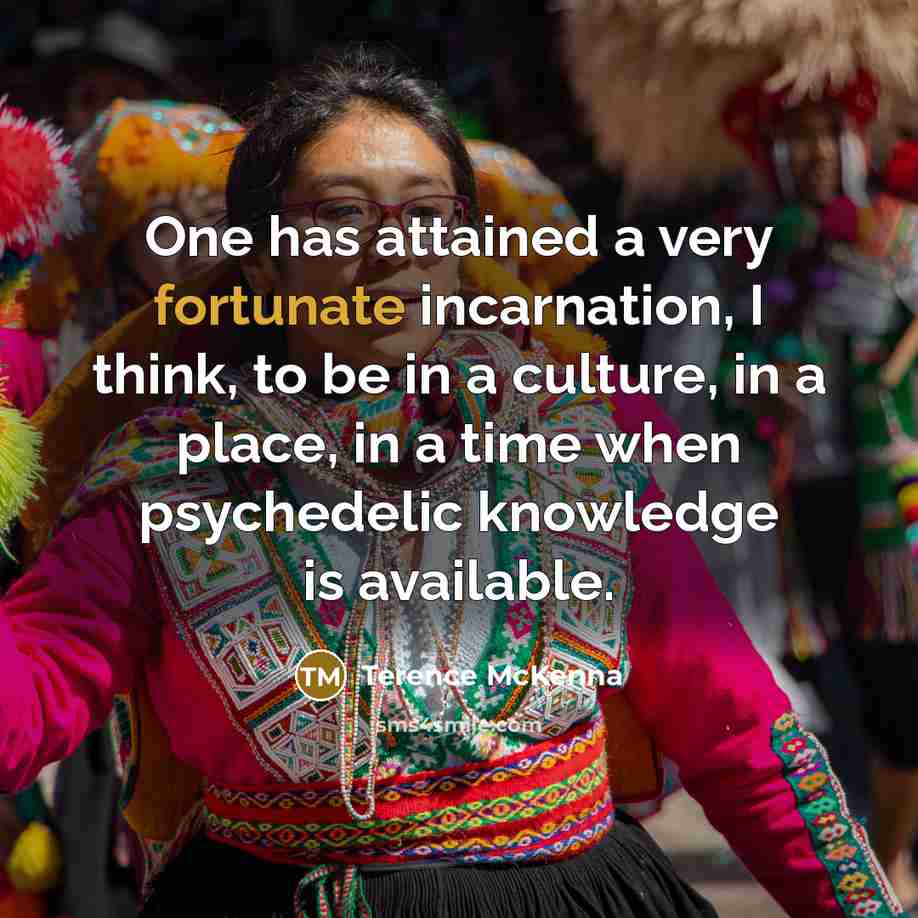 “One has attained a very fortunate incarnation, I think, to…” quote by Terence McKenna