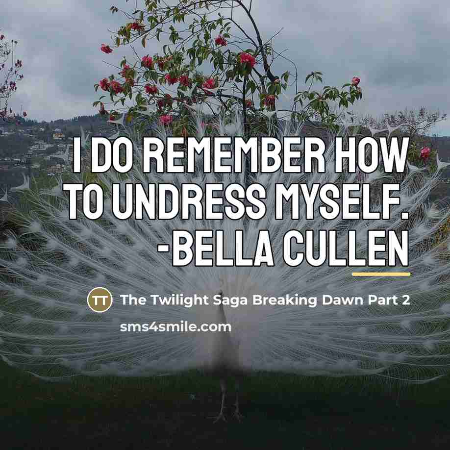 “I do remember how to undress myself. -Bella Cullen…” quote by The Twilight Saga Breaking Dawn Part 2