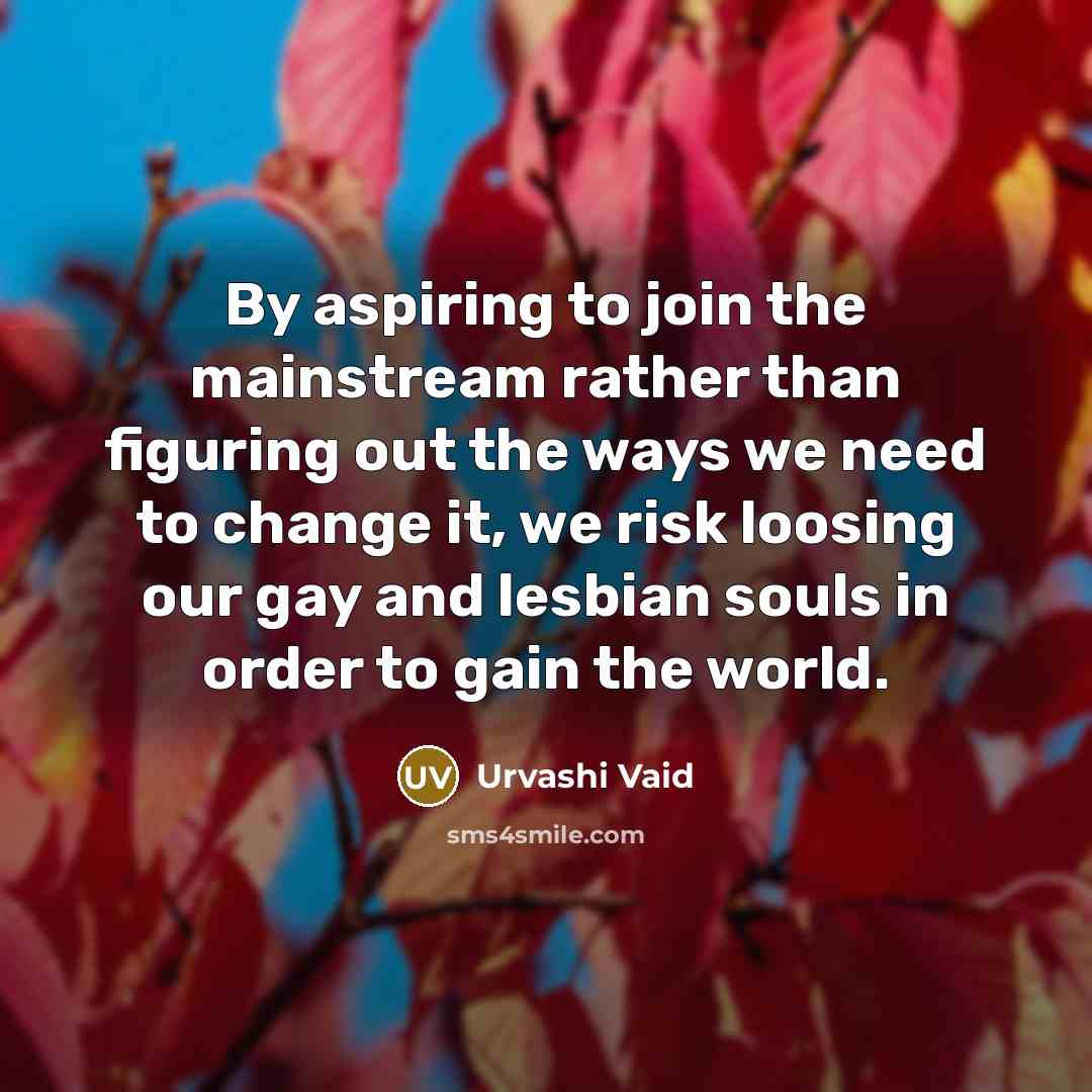 “By aspiring to join the mainstream rather than figuring out…” quote by Urvashi Vaid