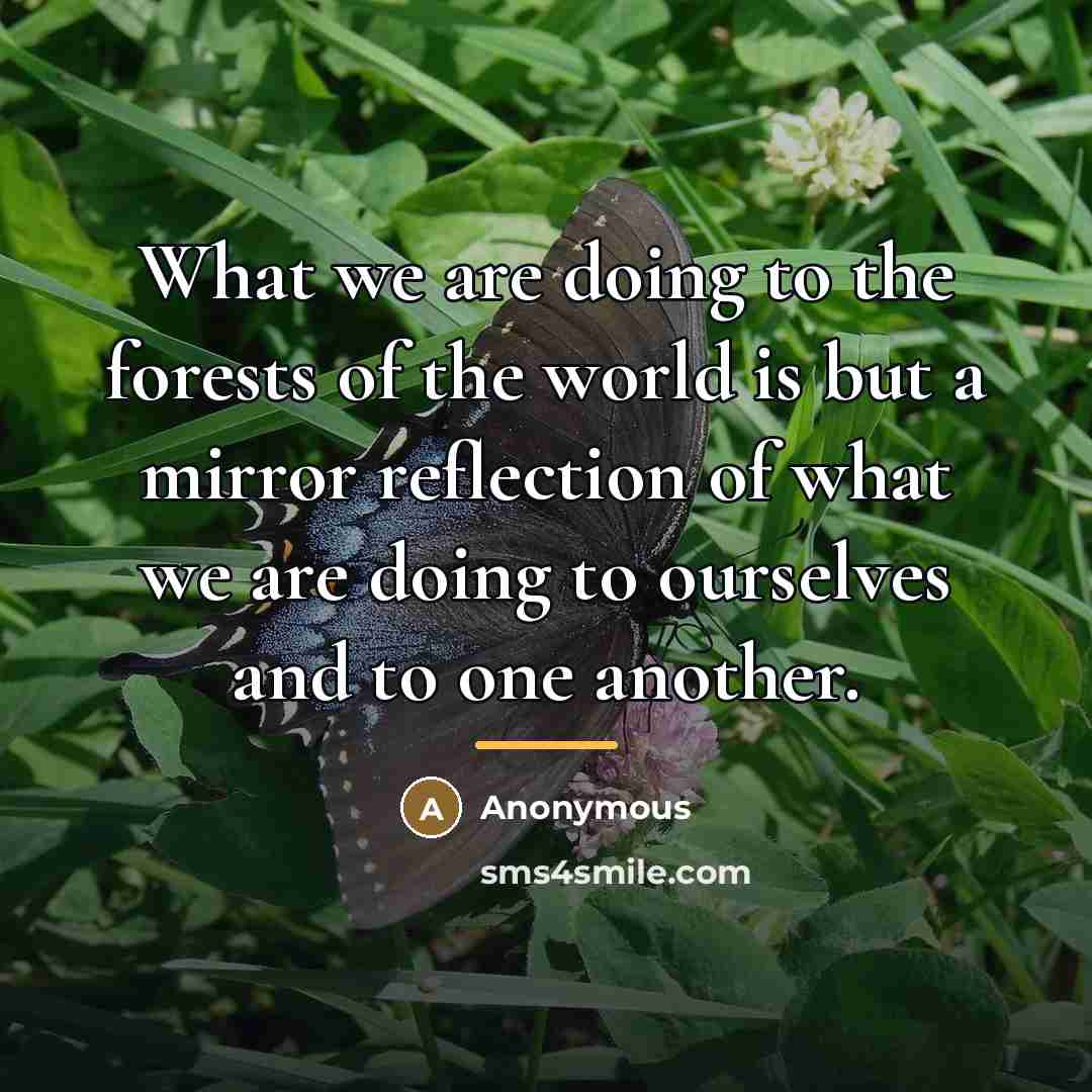 “What we are doing to the forests of the world…” quote by Anonymous