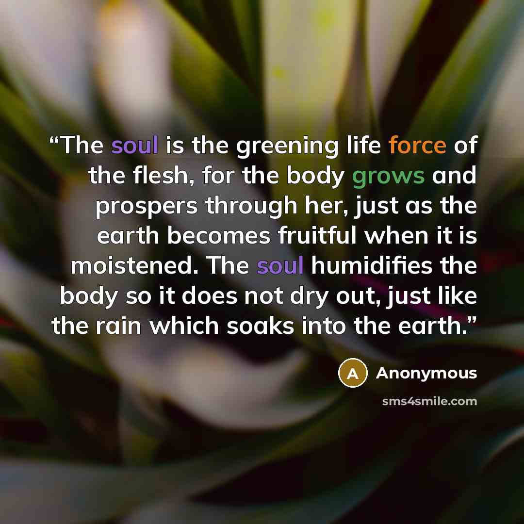 “The soul is the greening life force of the flesh, for the body grows and prospers through her, just as the earth becomes fruitful when it is moistened. The soul humidifies the body so it does not dry out, just like the rain which soaks into the earth.” quote by Anonymous