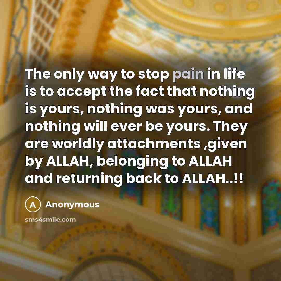 “The only way to stop pain in life is to…” quote by Anonymous