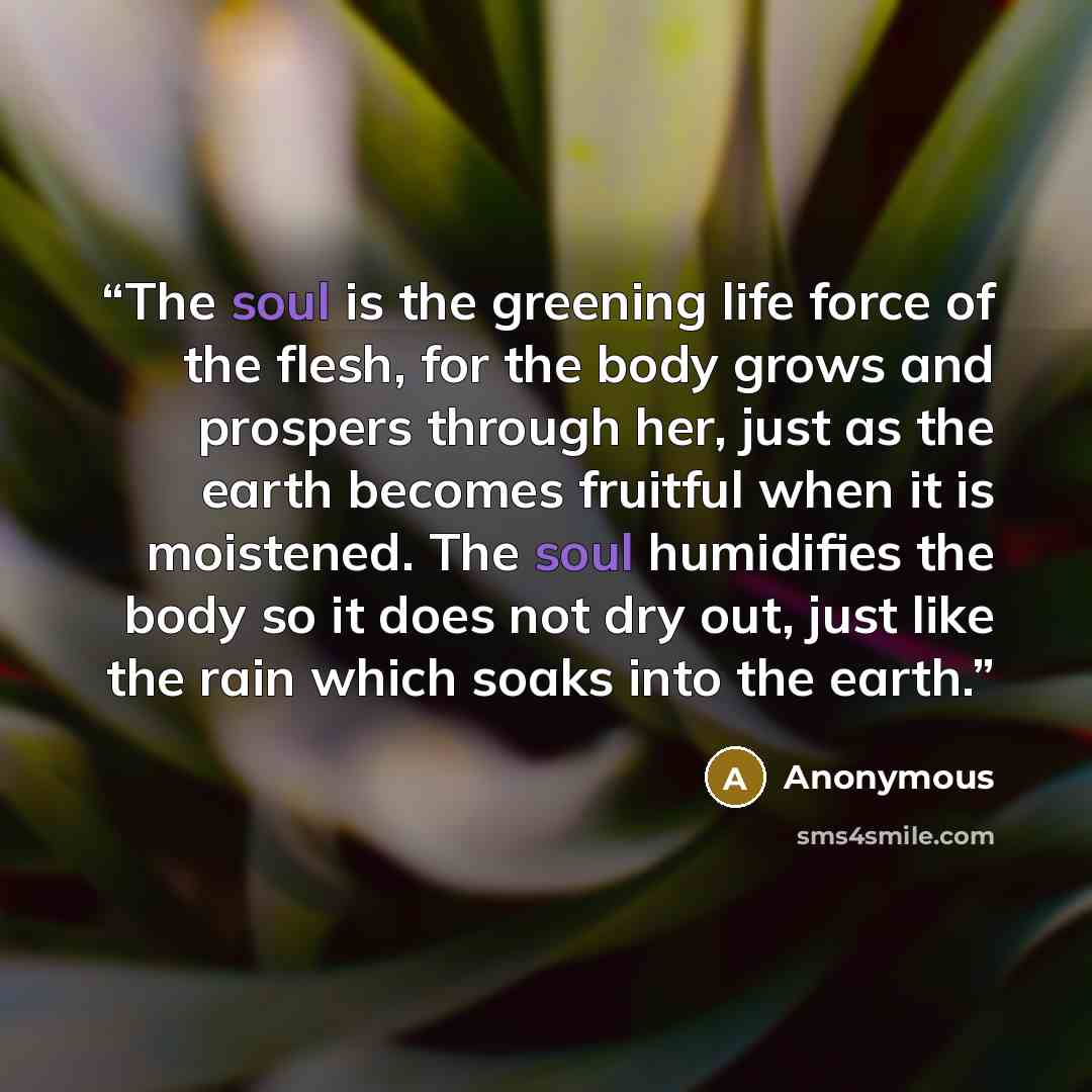 “The soul is the greening life force of the flesh, for the body grows and prospers through her, just as the earth becomes fruitful when it is moistened. The soul humidifies the body so it does not dry out, just like the rain which soaks into the earth.” quote by Anonymous