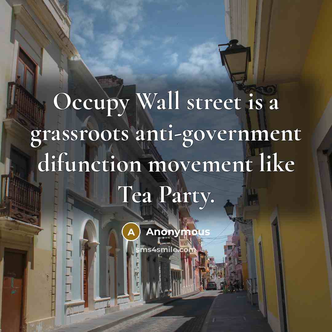 “Occupy Wall street is a grassroots anti-government difunction movement like…” quote by Anonymous