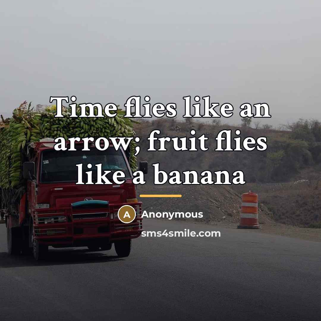 “Time flies like an arrow; fruit flies like a banana…” quote by Anonymous