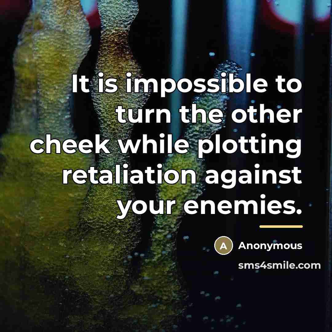 “It is impossible to turn the other cheek while plotting…” quote by Anonymous
