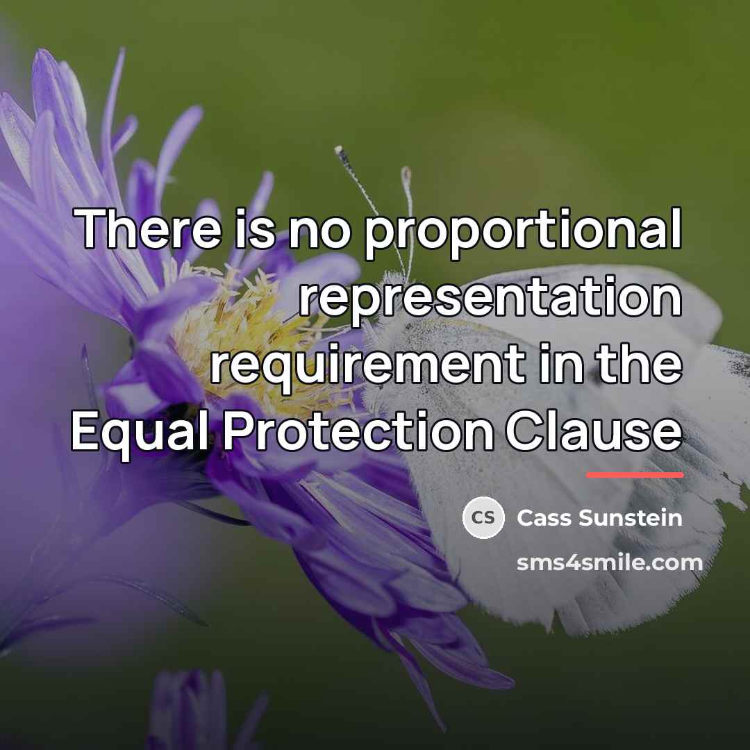 “There is no proportional representation requirement in the Equal Protection…” quote by Cass Sunstein