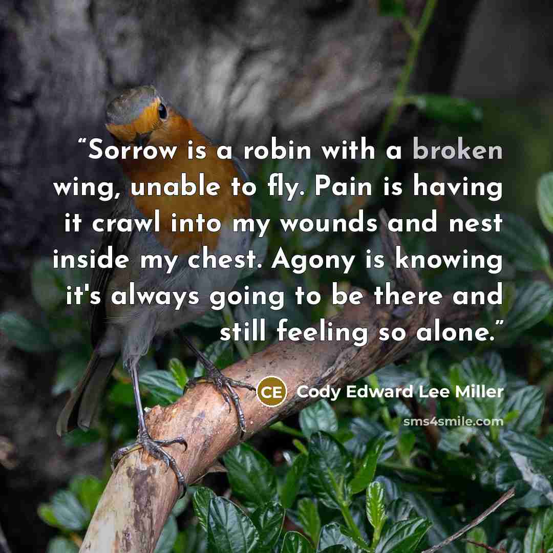 “Sorrow is a robin with a broken wing, unable to fly. Pain is having it crawl into my wounds and nest inside my chest. Agony is knowing it's always going to be there and still feeling so alone.” quote by Cody Edward Lee Miller