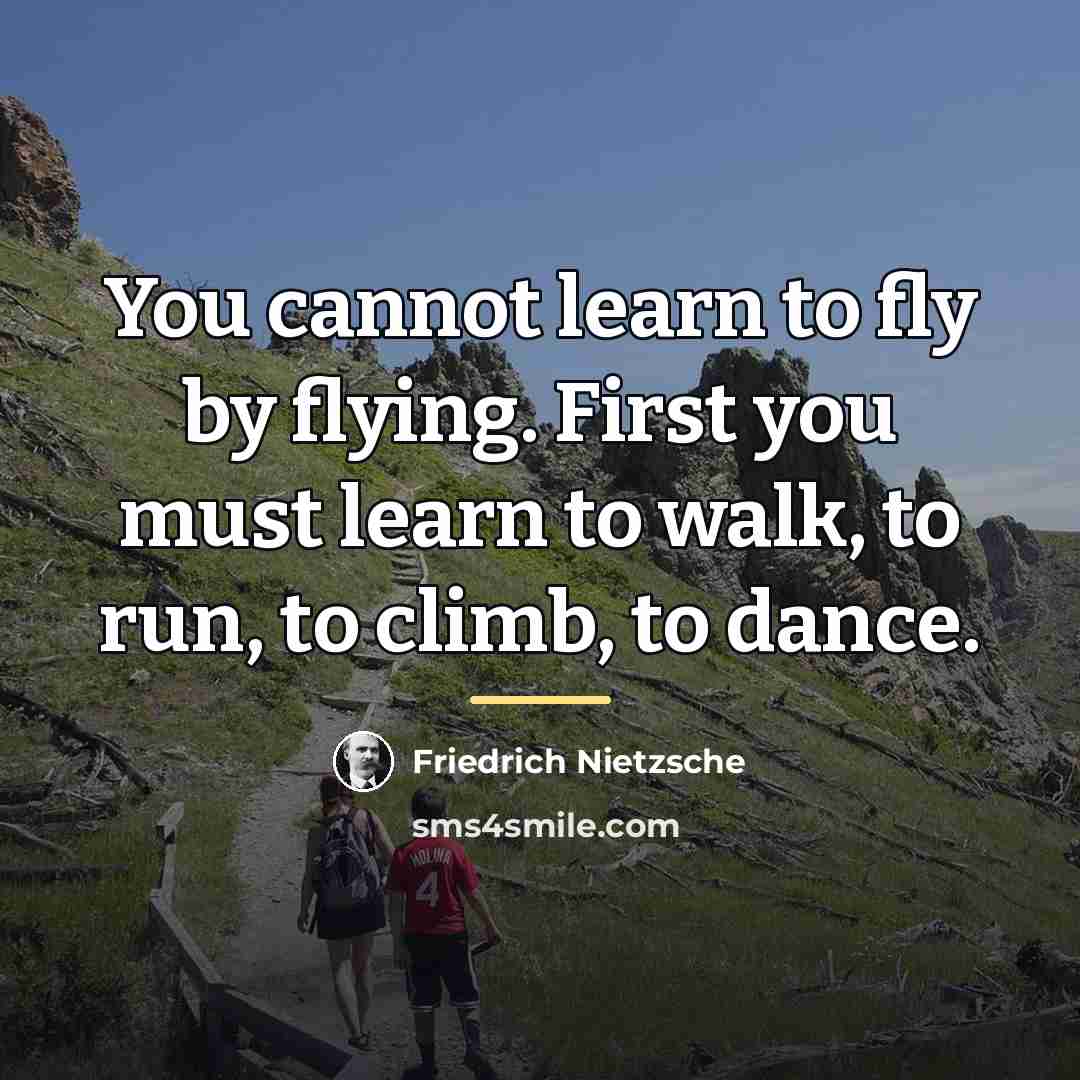“You cannot learn to fly by flying. First you must…” quote by Friedrich Nietzsche