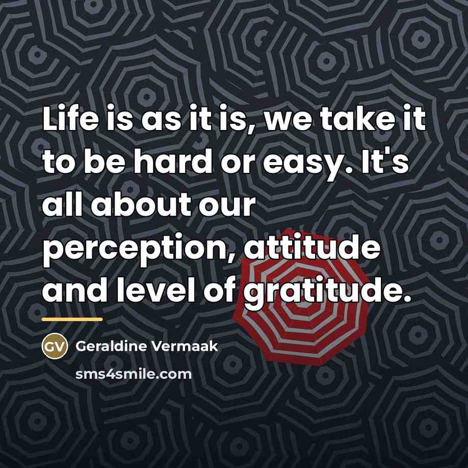 “Life is as it is, we take it to be…” quote by Geraldine Vermaak