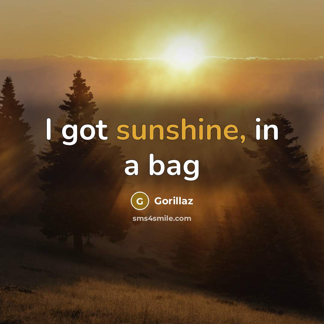 “I got sunshine, in a bag…” quote by Gorillaz