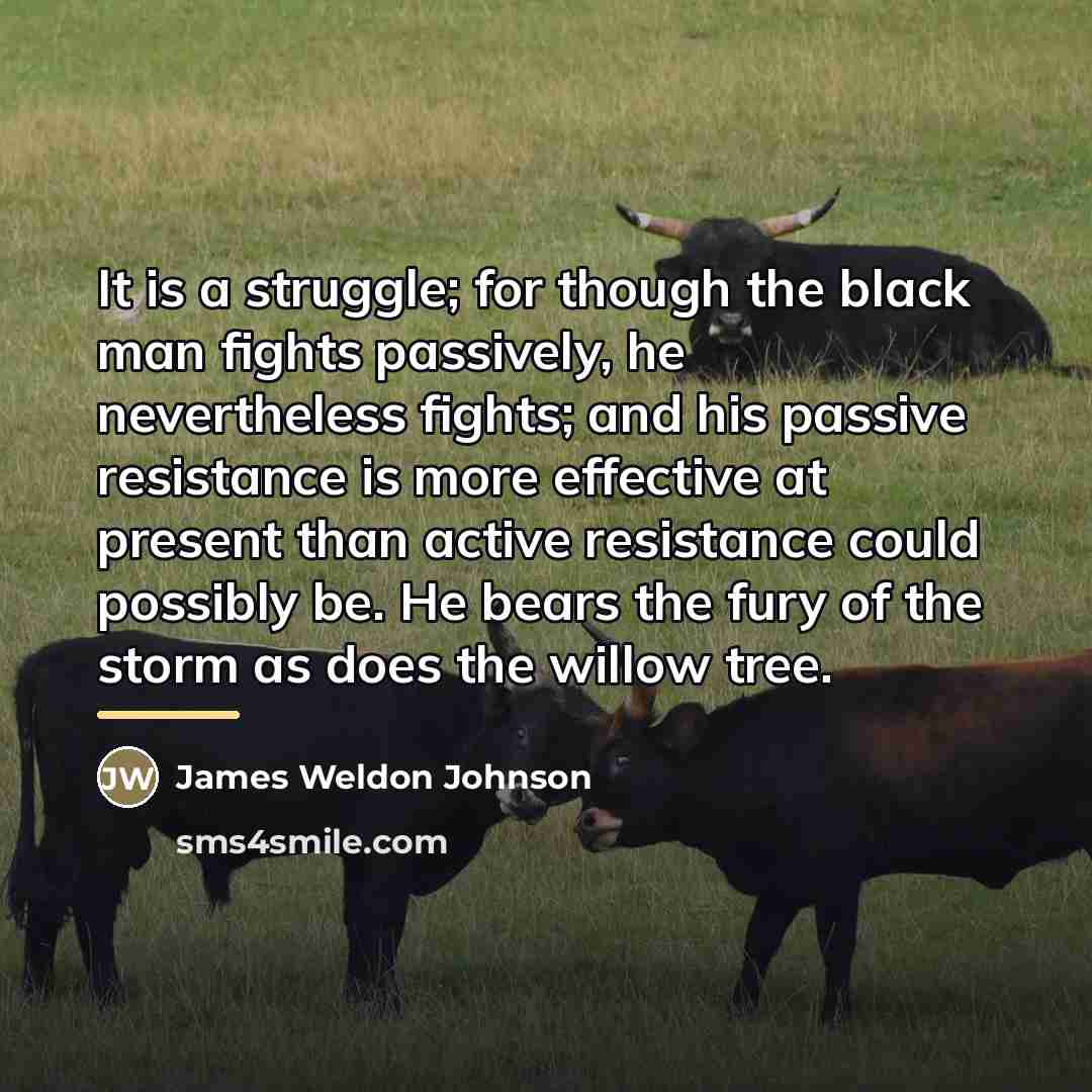 “It is a struggle; for though the black man fights…” quote by James Weldon Johnson