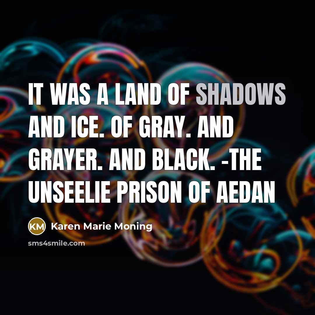 “It was a land of shadows and ice. Of gray.…” quote by Karen Marie Moning