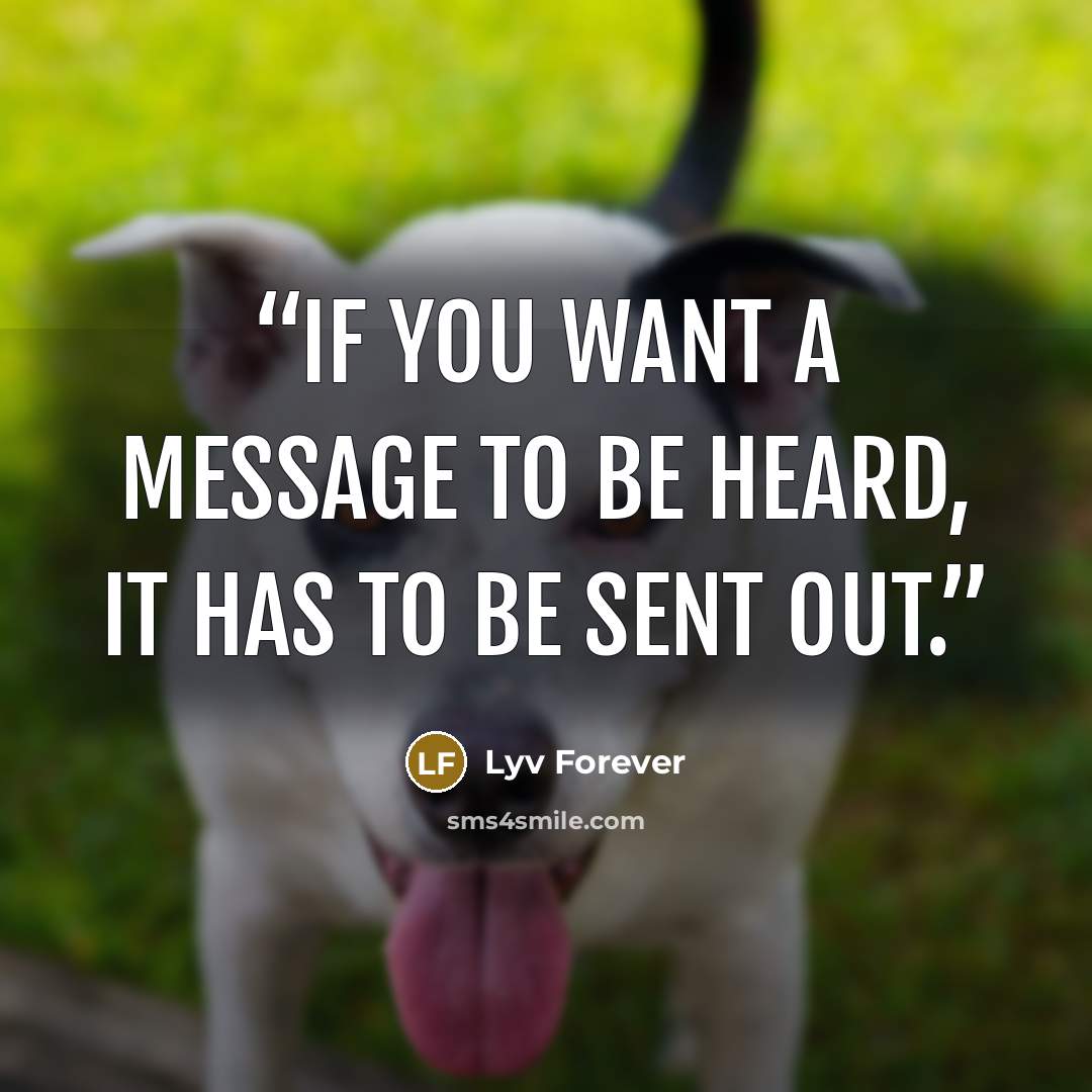 “If you want a message to be heard, it has to be sent out.” quote by Lyv Forever