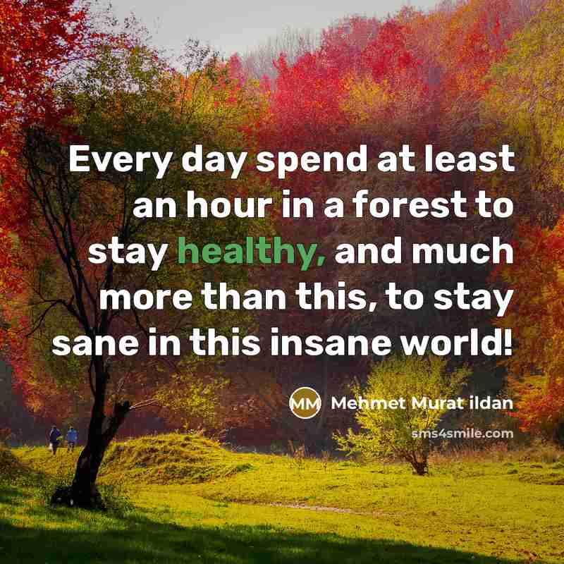 “Every day spend at least an hour in a forest…” quote by Mehmet Murat Ildan