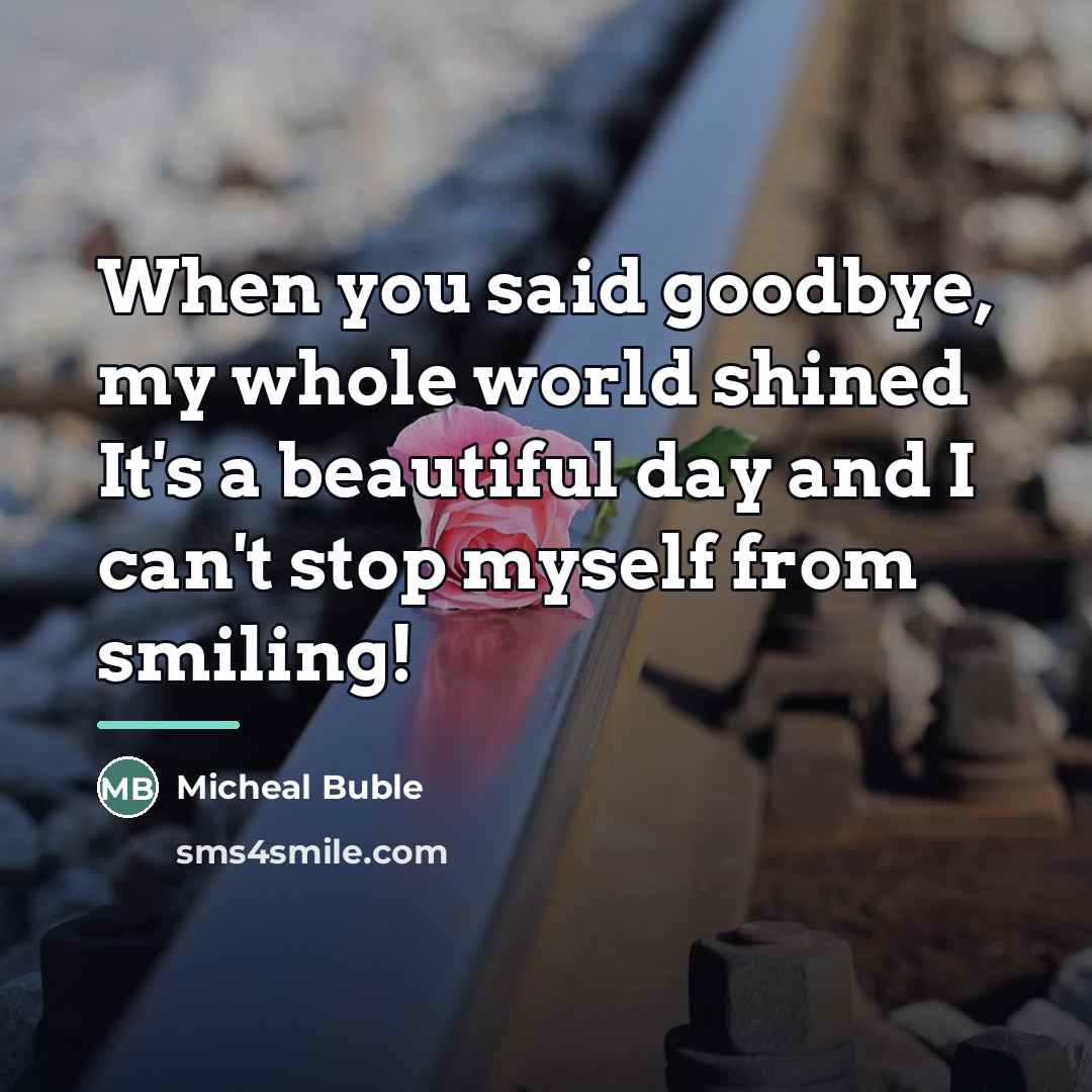 “When you said goodbye, my whole world shined It's a…” quote by Micheal Buble