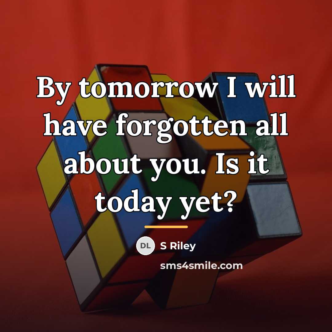 “By tomorrow I will have forgotten all about you. Is…” quote by S Riley