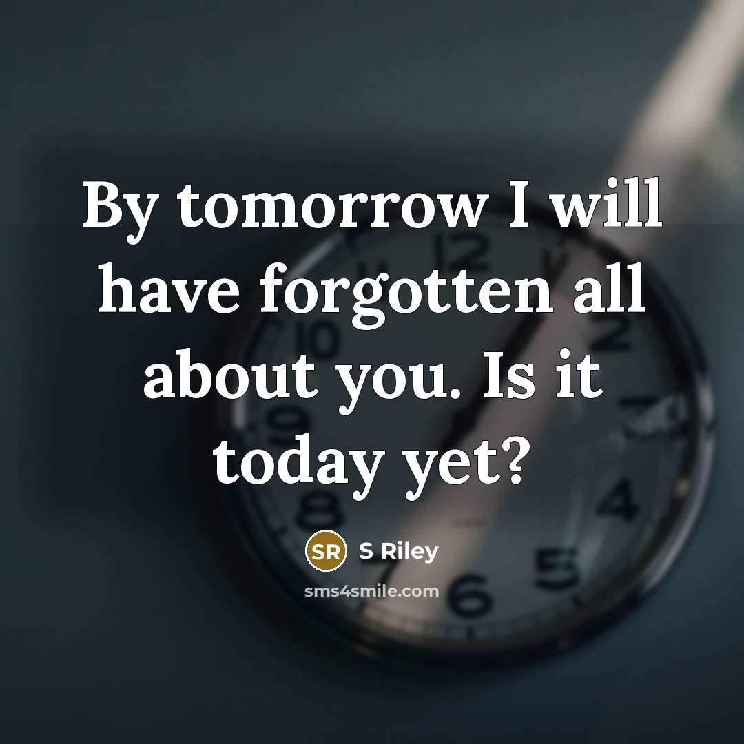 “By tomorrow I will have forgotten all about you. Is it today yet?” quote by S Riley