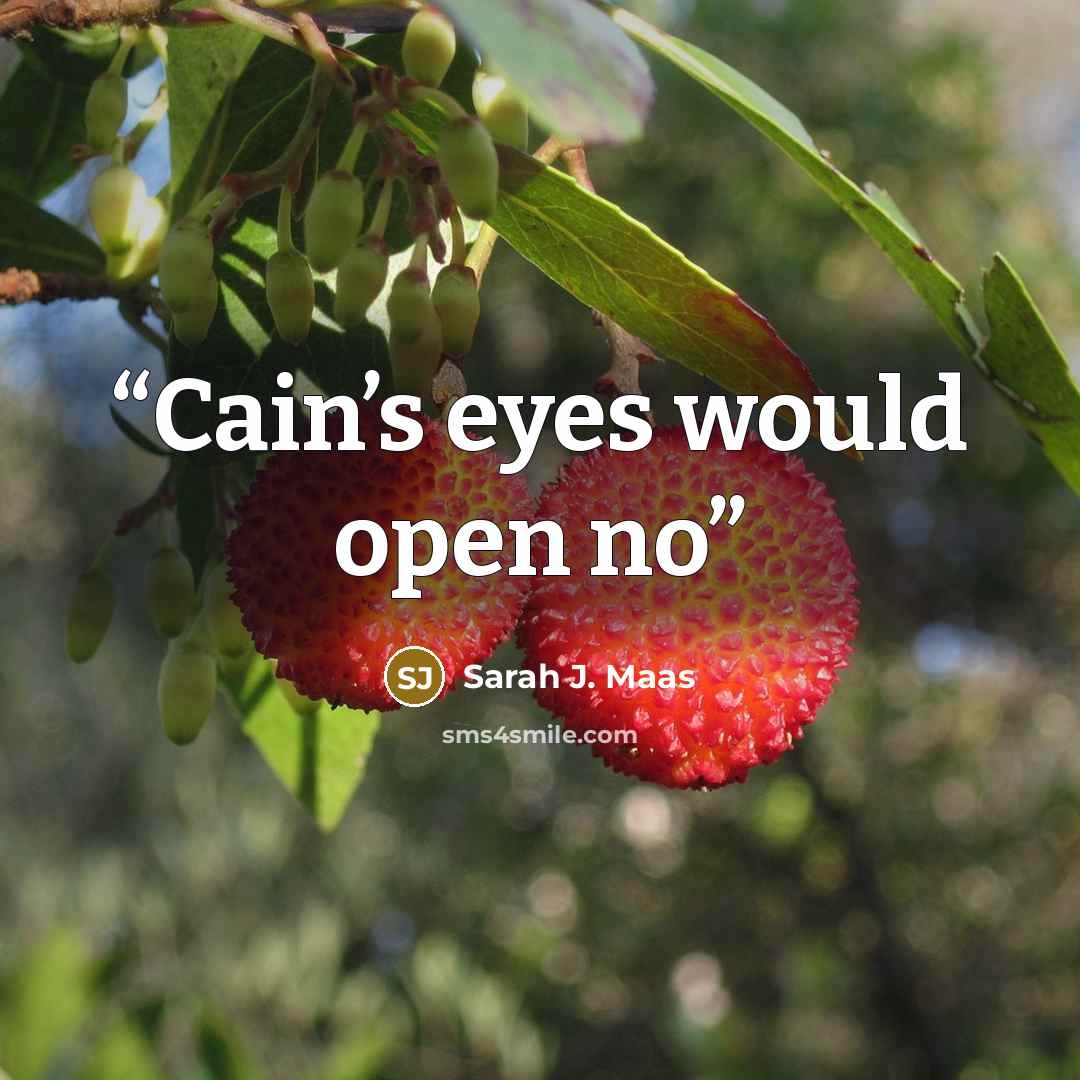 “Cain’s eyes would open no” quote by Sarah J. Maas