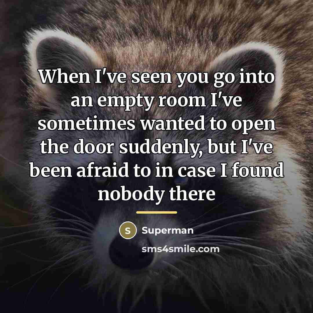 “When I've seen you go into an empty room I've…” quote by Superman