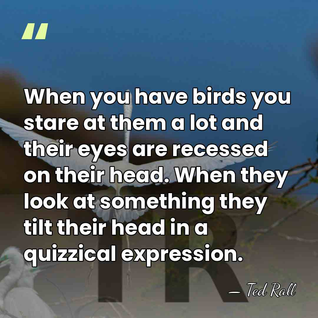 When you have birds you stare at them a lot and their&hellip; - Ted Rall